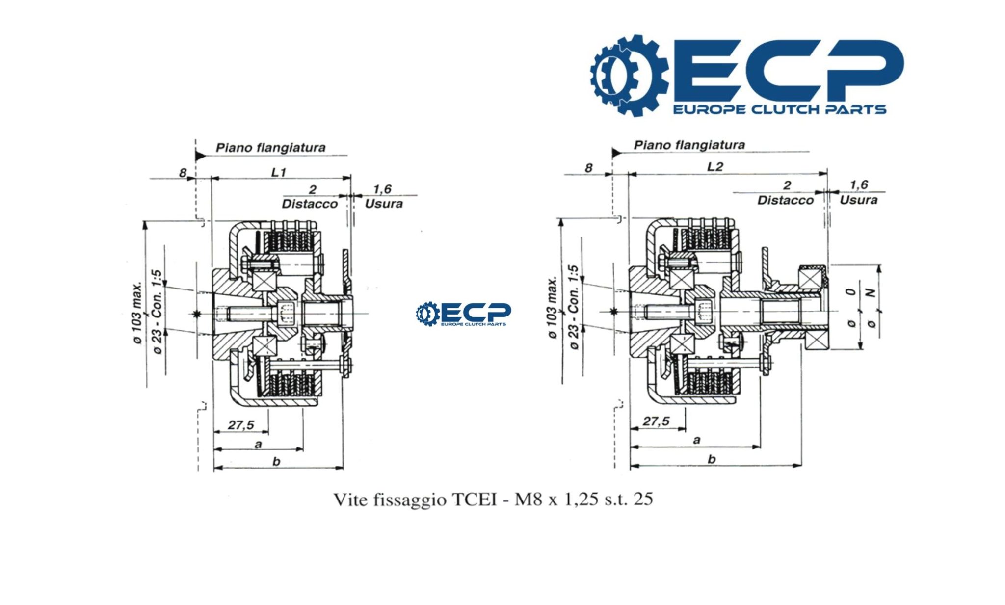 frizione-conica-multidisco-bertolini-motof-frizioni-ecp