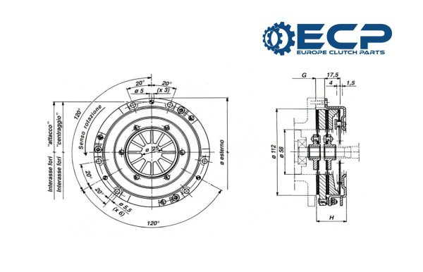 Spingidisco bidisco ECP